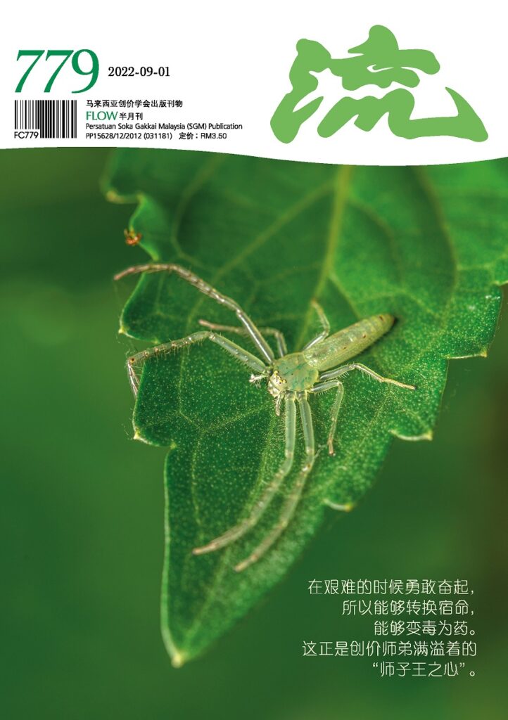 SGM期刊《流》779