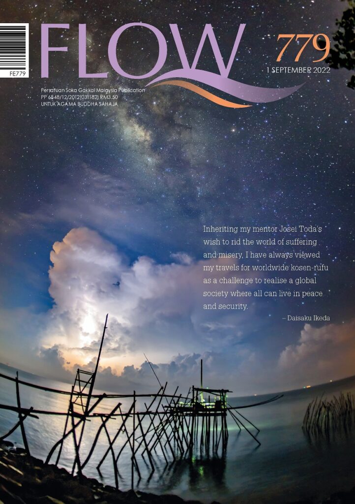 SGM Magazine Flow 779