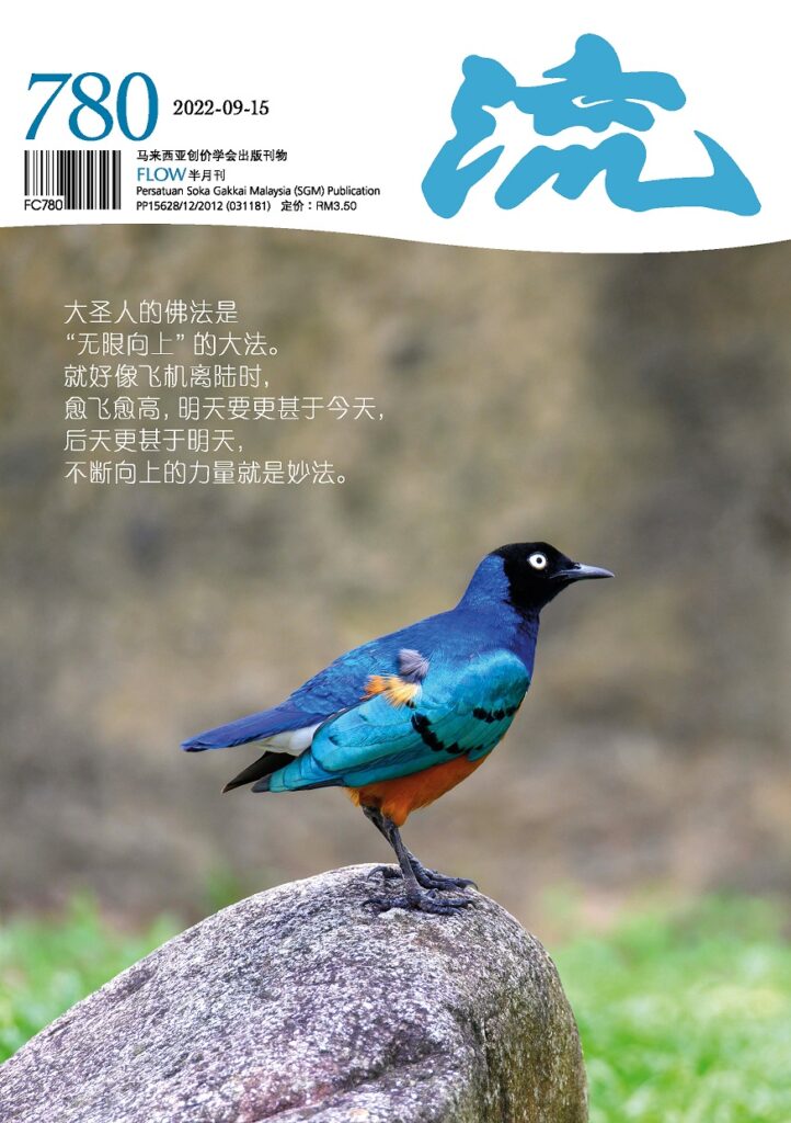 SGM期刊《流》780