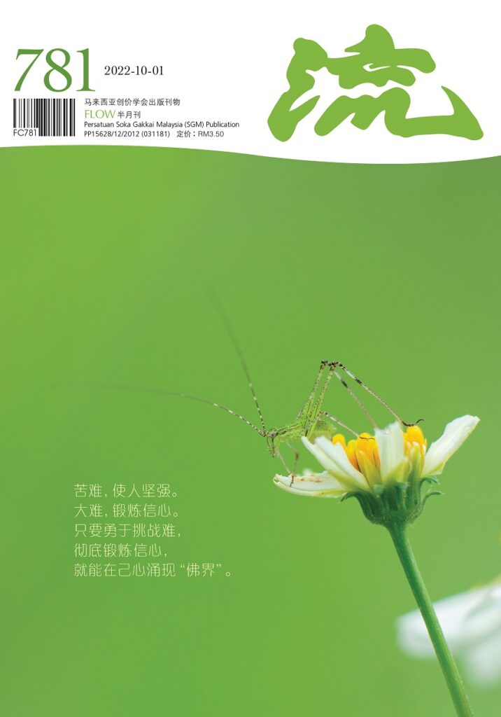 流 781