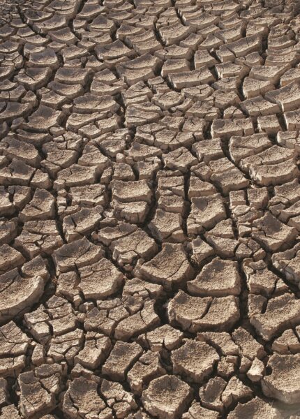 Dry earth in the Sonoran Desert, Mexico. Photo: www.tomascastelazo.com@Wikimedia Commons 