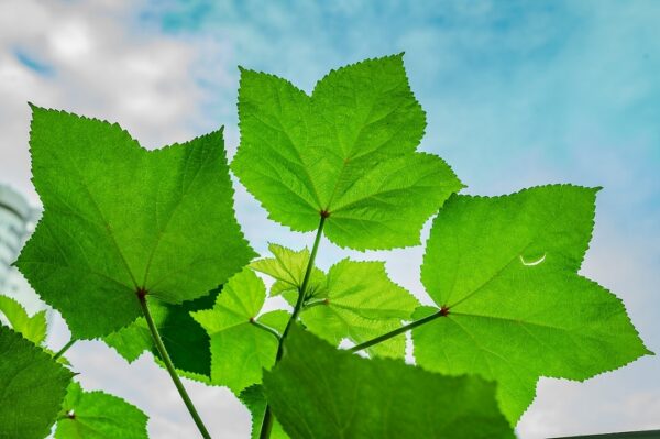 Act Now! — Realising the Sustainable Development Goals