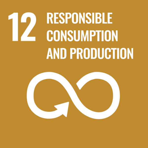 Sustainable Development Goals 12